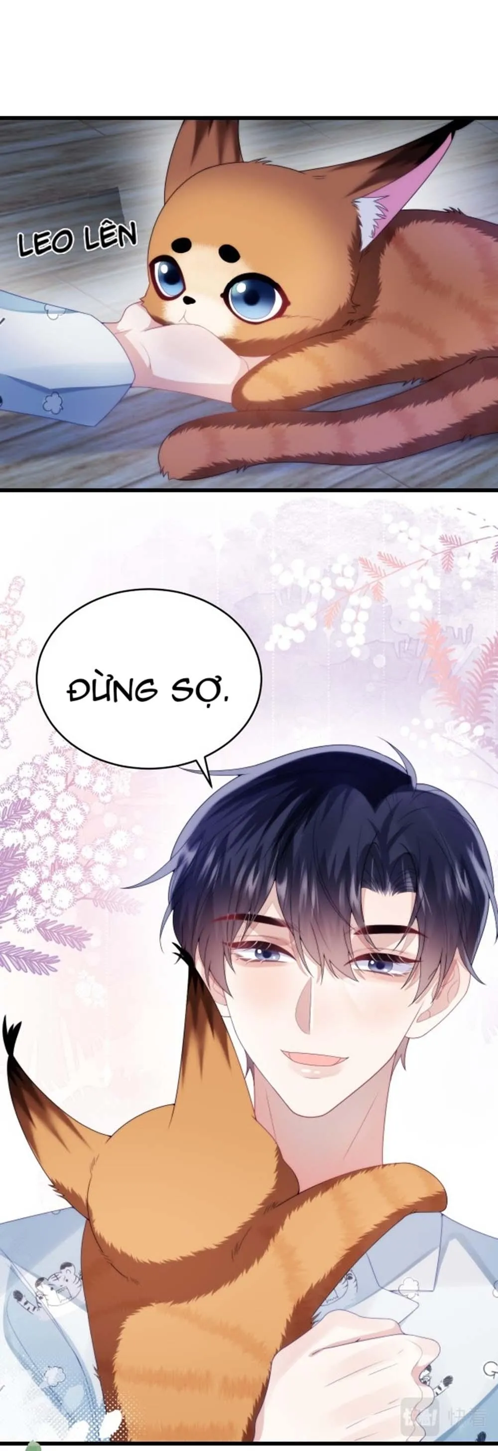 Mèo Hoang Nhỏ Của Học Bá Quá Trêu Người (END) Chapter 28 Trang 17