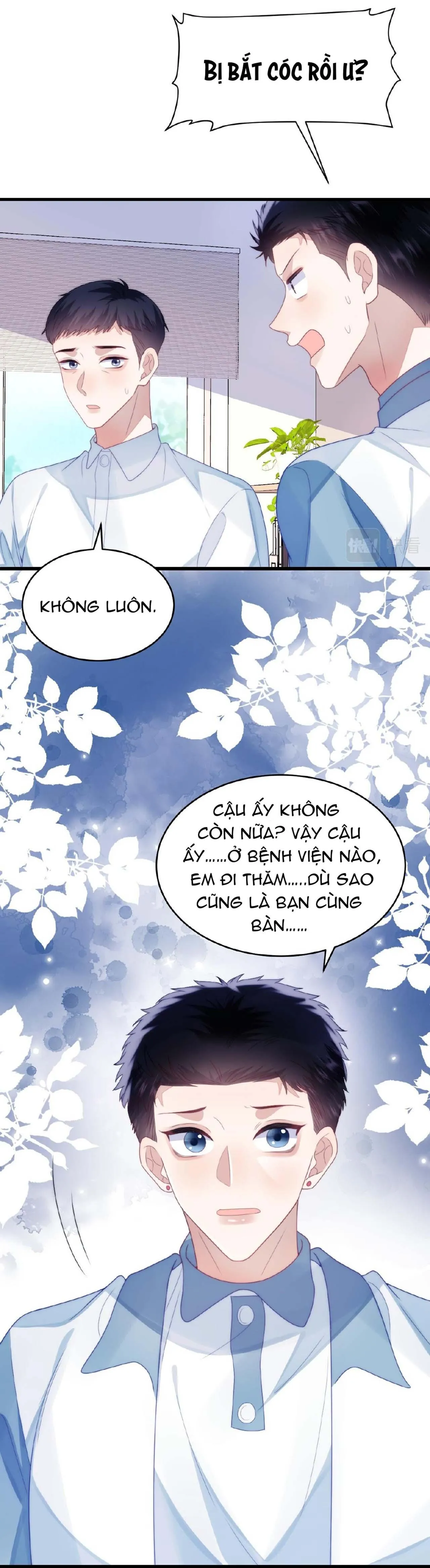 Mèo Hoang Nhỏ Của Học Bá Quá Trêu Người (END) Chapter 32 Trang 12