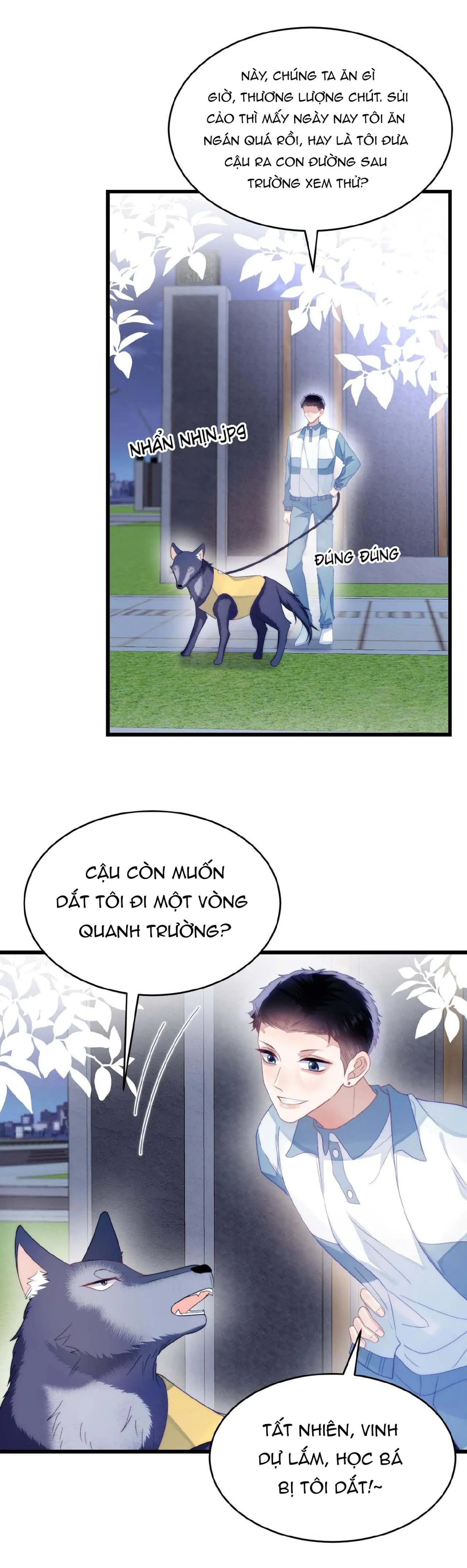 Mèo Hoang Nhỏ Của Học Bá Quá Trêu Người (END) Chapter 33 Trang 7