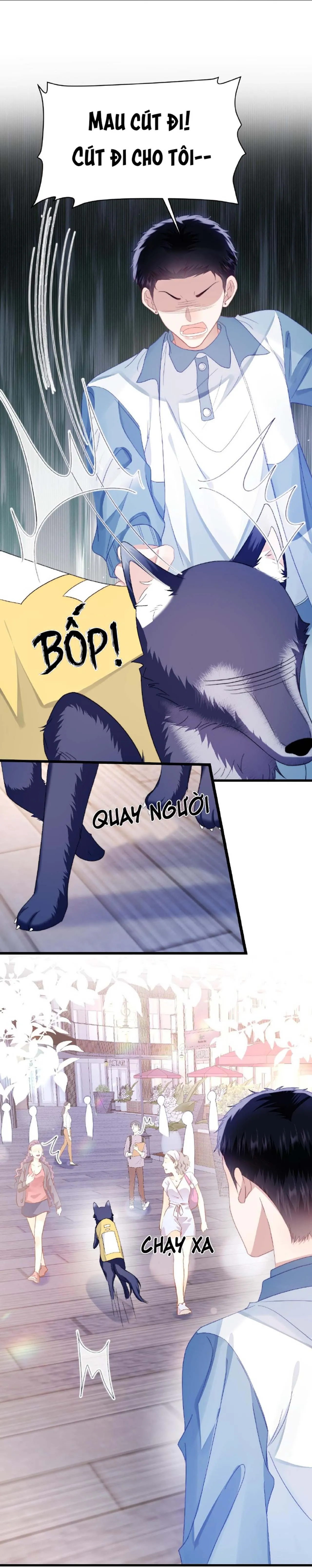 Mèo Hoang Nhỏ Của Học Bá Quá Trêu Người (END) Chapter 34 Trang 6