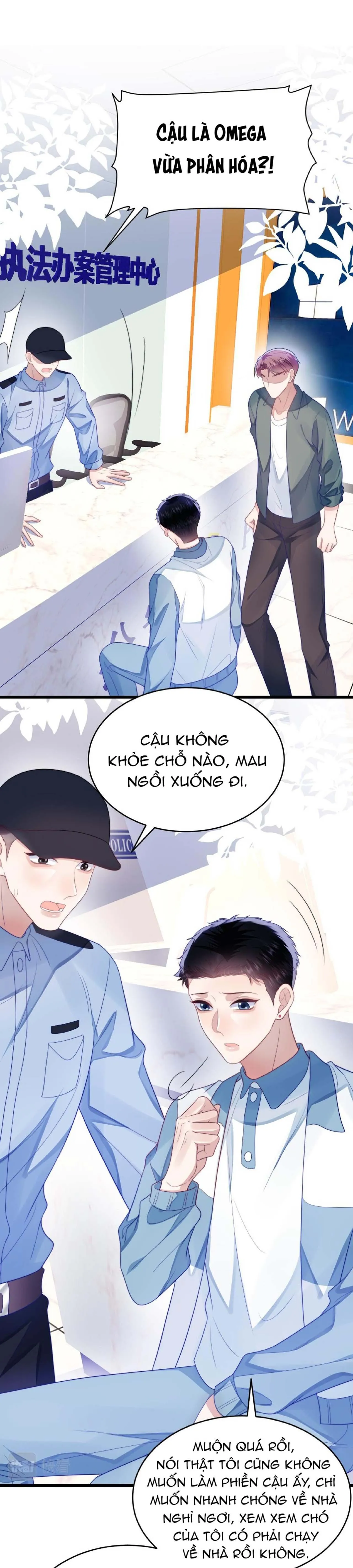 Mèo Hoang Nhỏ Của Học Bá Quá Trêu Người (END) Chapter 34 Trang 14