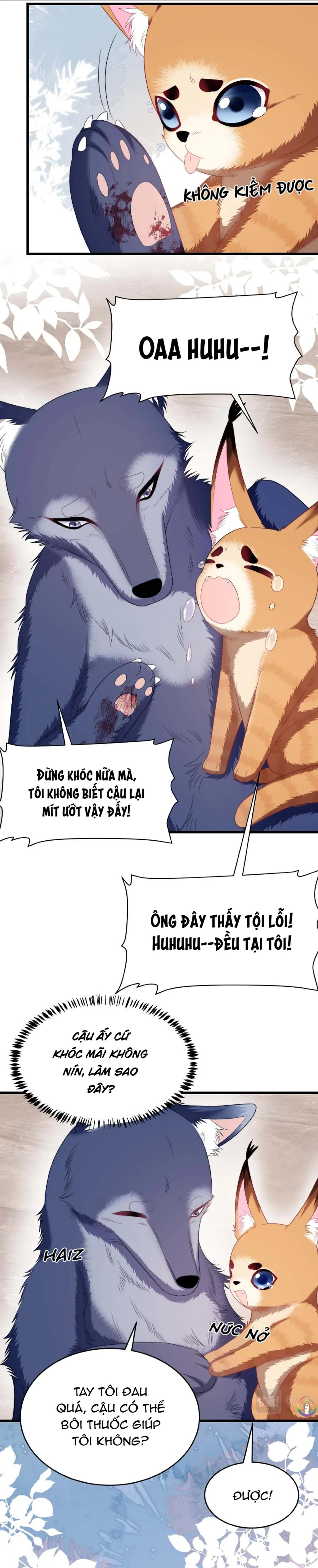 Mèo Hoang Nhỏ Của Học Bá Quá Trêu Người (END) Chapter 35 Trang 7