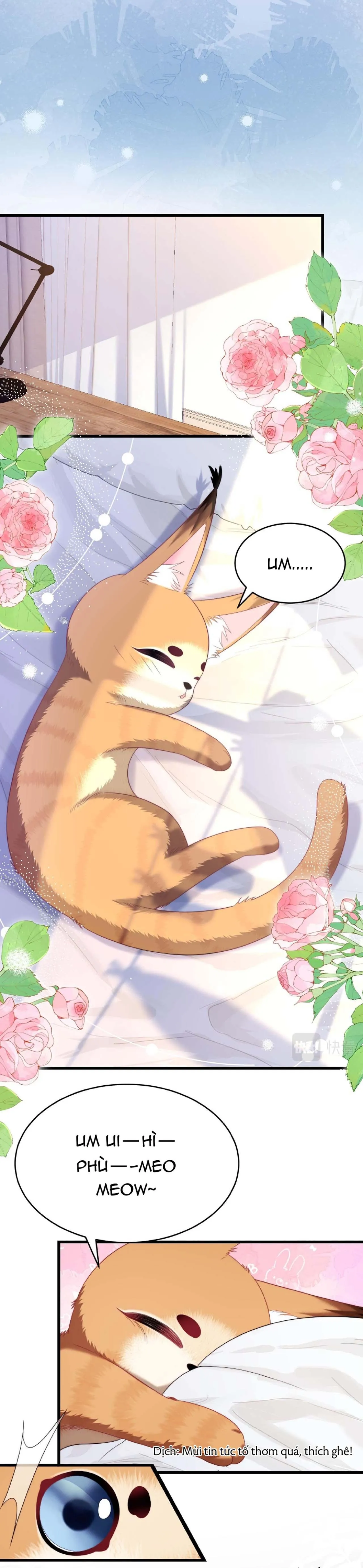 Mèo Hoang Nhỏ Của Học Bá Quá Trêu Người (END) Chapter 35 Trang 15