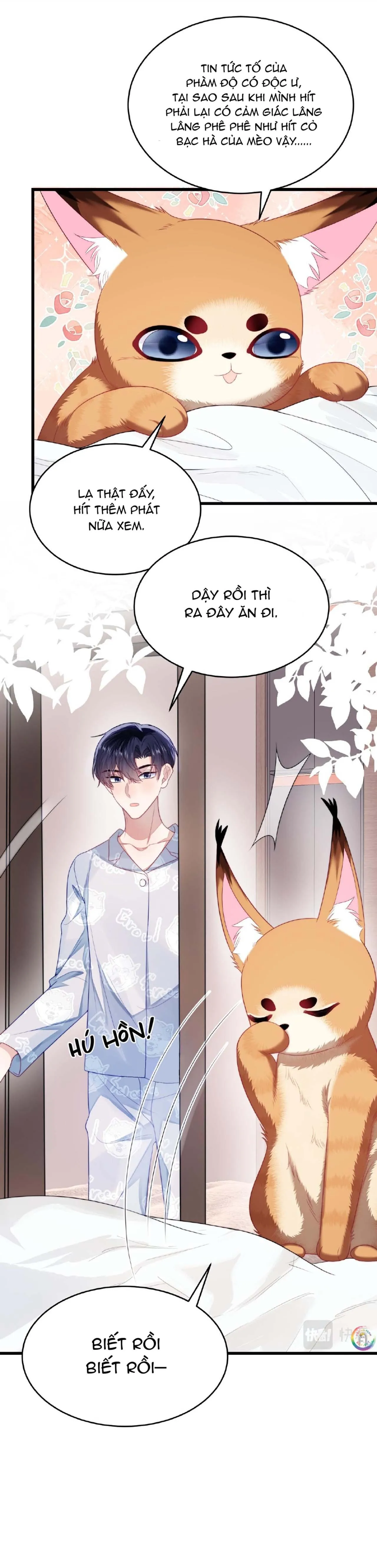 Mèo Hoang Nhỏ Của Học Bá Quá Trêu Người (END) Chapter 35 Trang 17