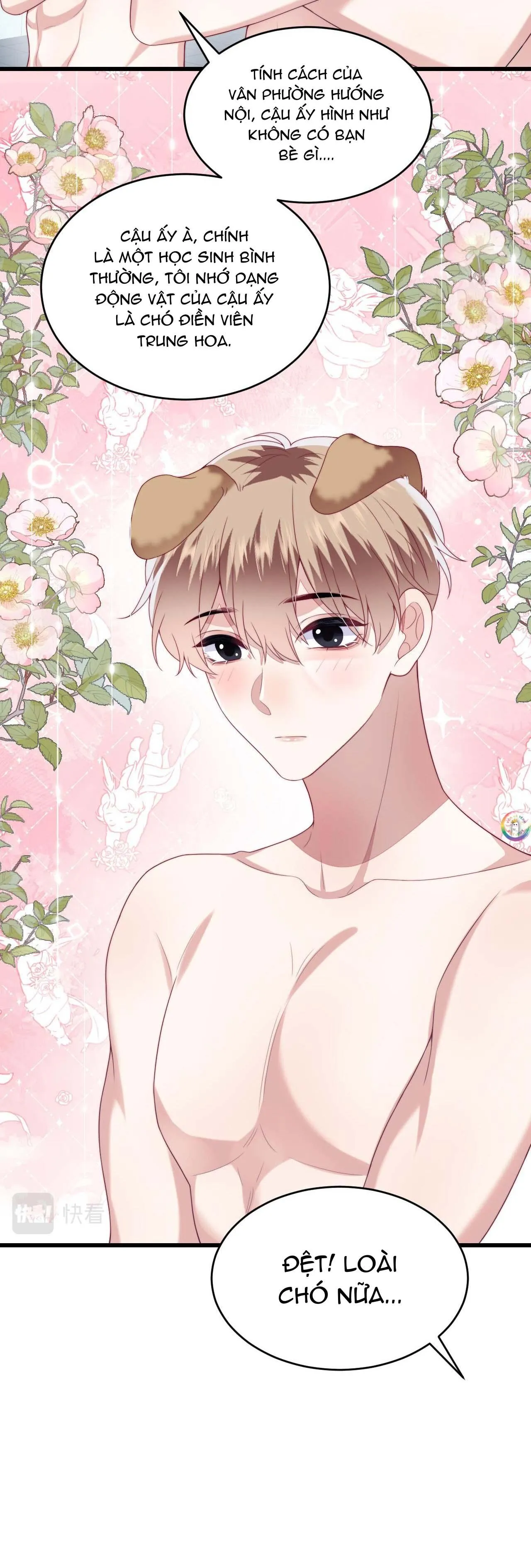 Mèo Hoang Nhỏ Của Học Bá Quá Trêu Người (END) Chapter 42 Trang 11