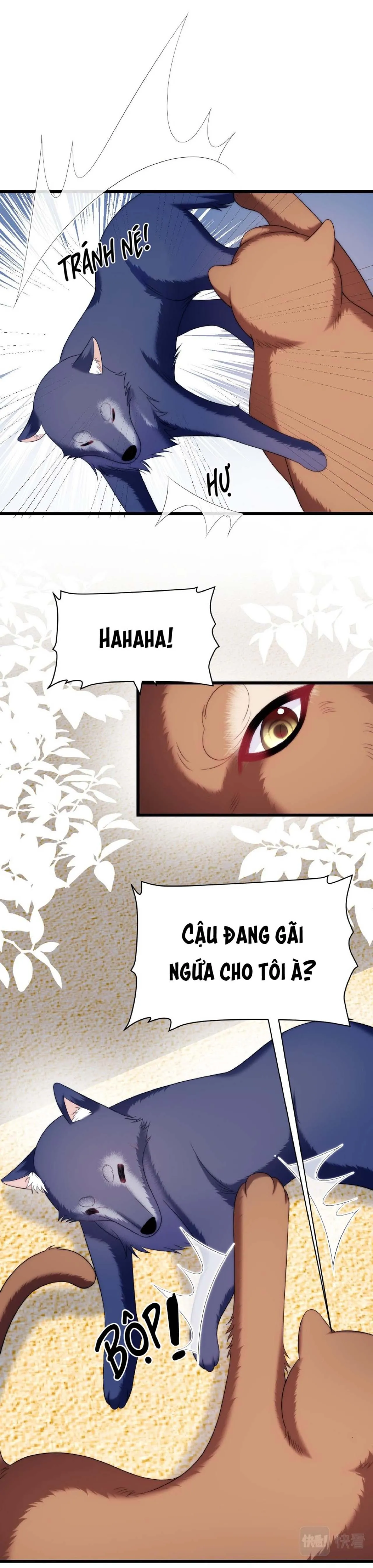 Mèo Hoang Nhỏ Của Học Bá Quá Trêu Người (END) Chapter 50 Trang 15