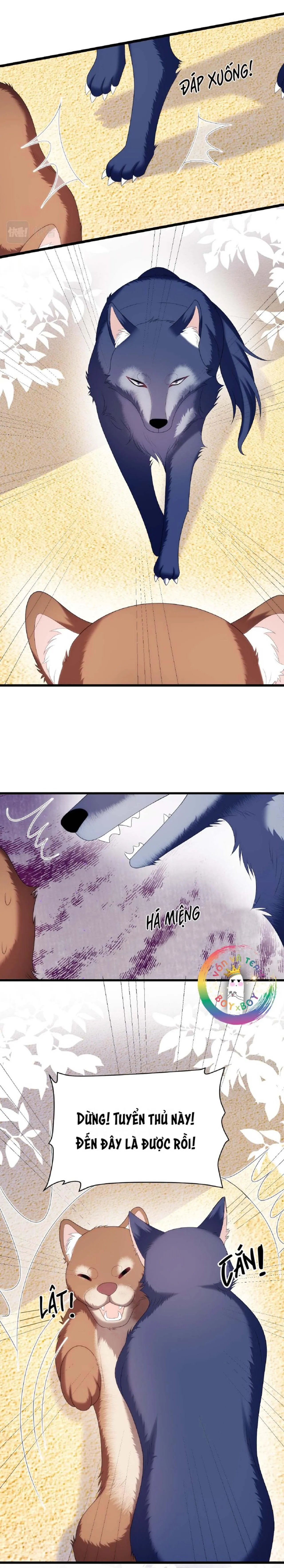 Mèo Hoang Nhỏ Của Học Bá Quá Trêu Người (END) Chapter 50 Trang 19