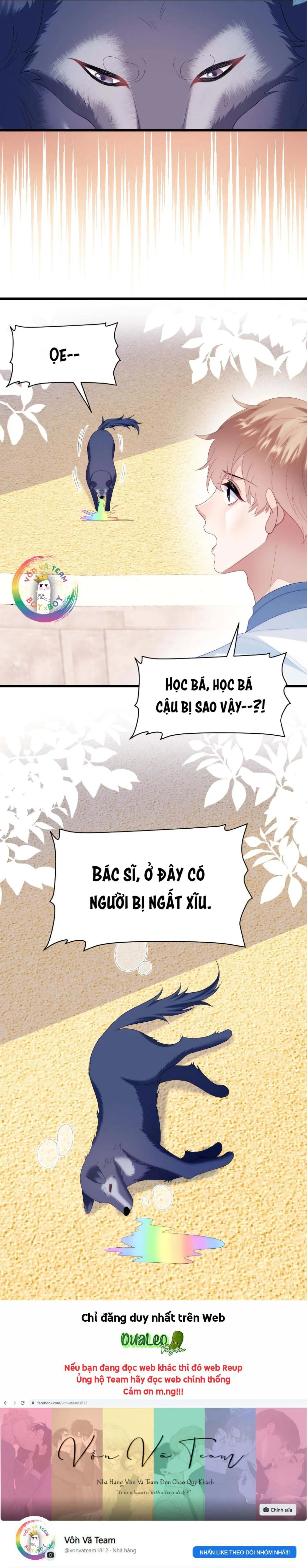Mèo Hoang Nhỏ Của Học Bá Quá Trêu Người (END) Chapter 50 Trang 21
