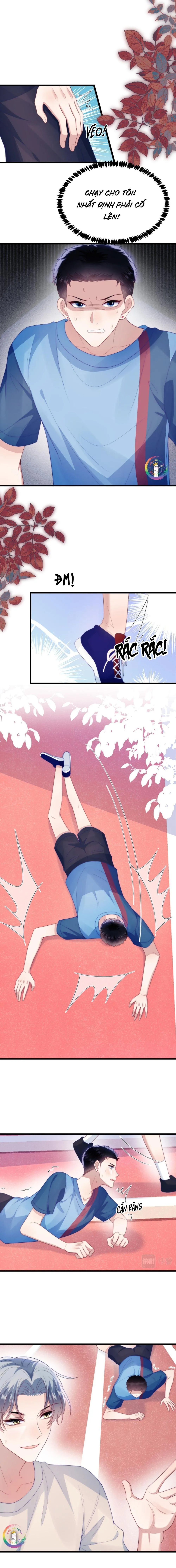 Mèo Hoang Nhỏ Của Học Bá Quá Trêu Người (END) Chapter 51 Trang 5