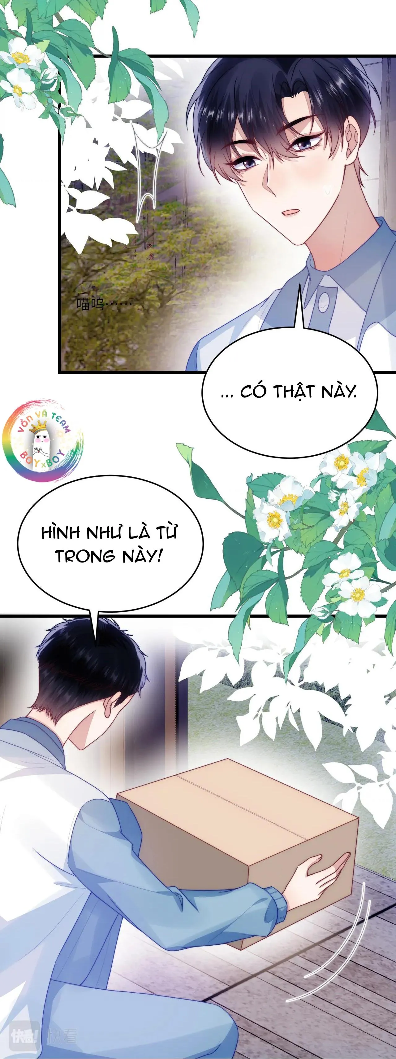 Mèo Hoang Nhỏ Của Học Bá Quá Trêu Người (END) Chapter 68 Trang 17