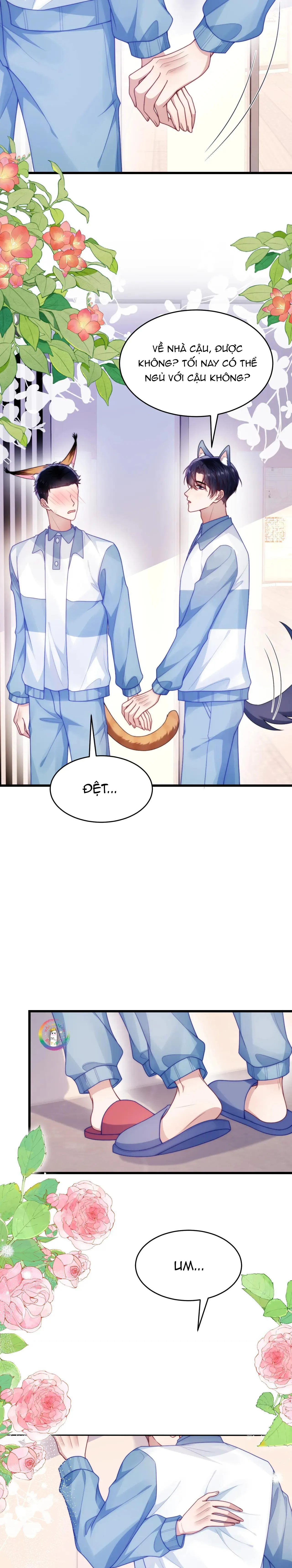 Mèo Hoang Nhỏ Của Học Bá Quá Trêu Người (END) Chapter 77 Trang 8