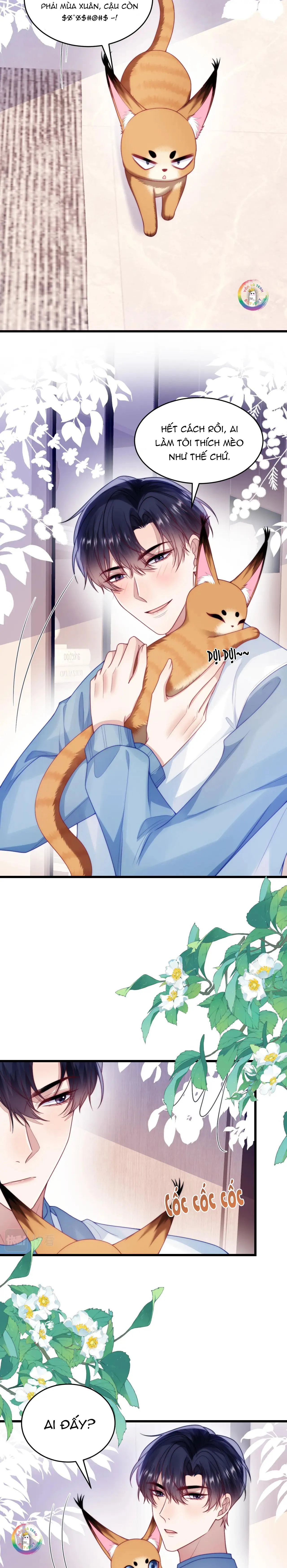 Mèo Hoang Nhỏ Của Học Bá Quá Trêu Người (END) Chapter 77 Trang 10