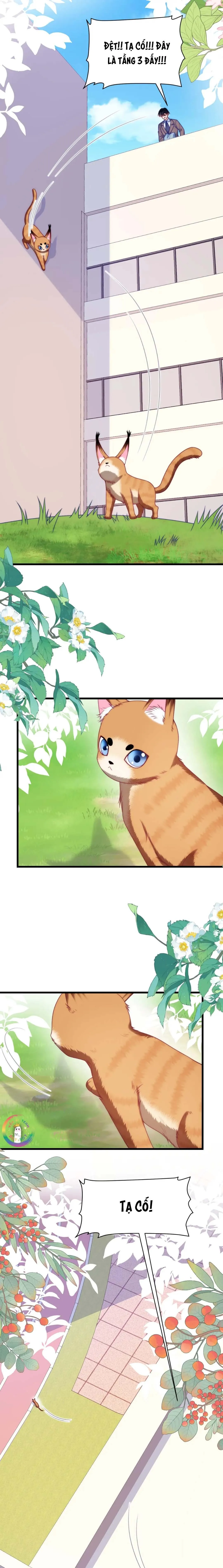 Mèo Hoang Nhỏ Của Học Bá Quá Trêu Người (END) Chapter 80 Trang 7