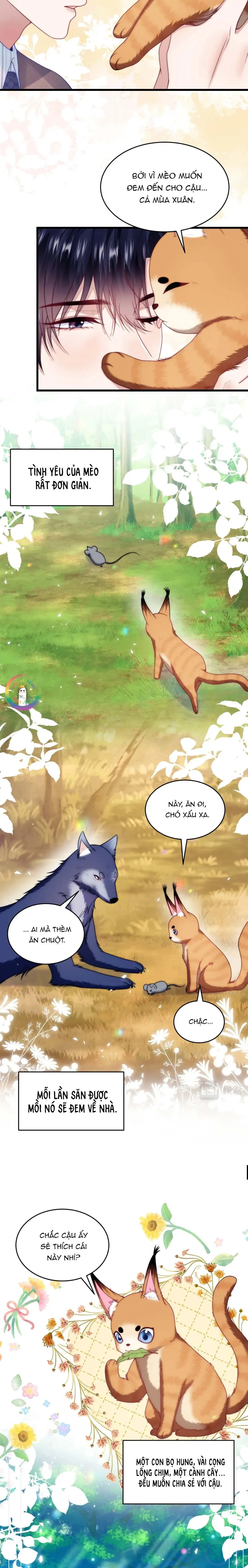 Mèo Hoang Nhỏ Của Học Bá Quá Trêu Người (END) Chapter 80 Trang 11