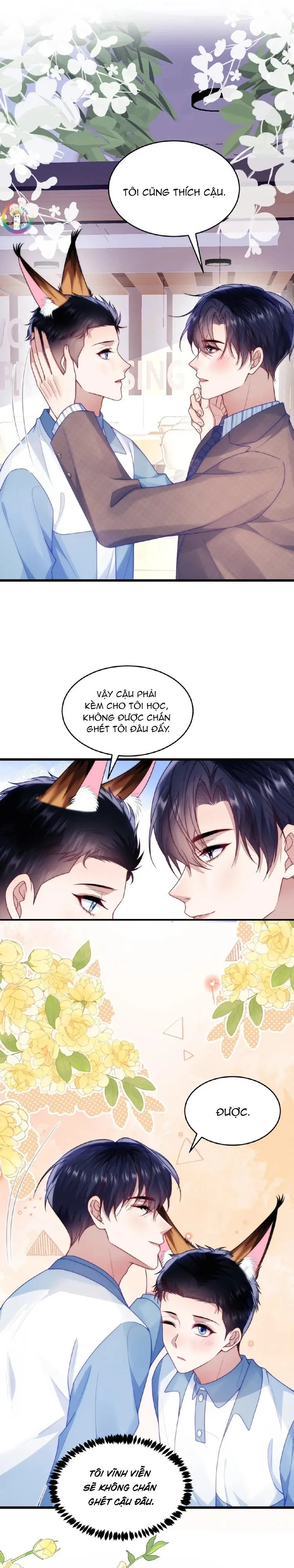 Mèo Hoang Nhỏ Của Học Bá Quá Trêu Người (END) Chapter 81 Trang 5