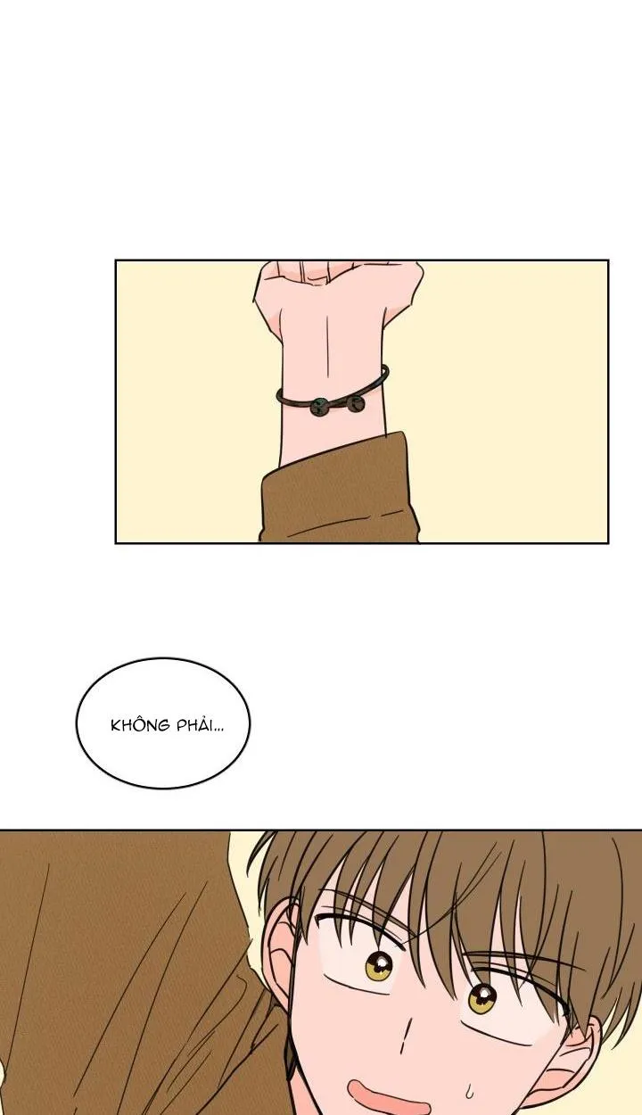 Mẹo Thuần Hóa Hổ Chapter 10 Trang 19