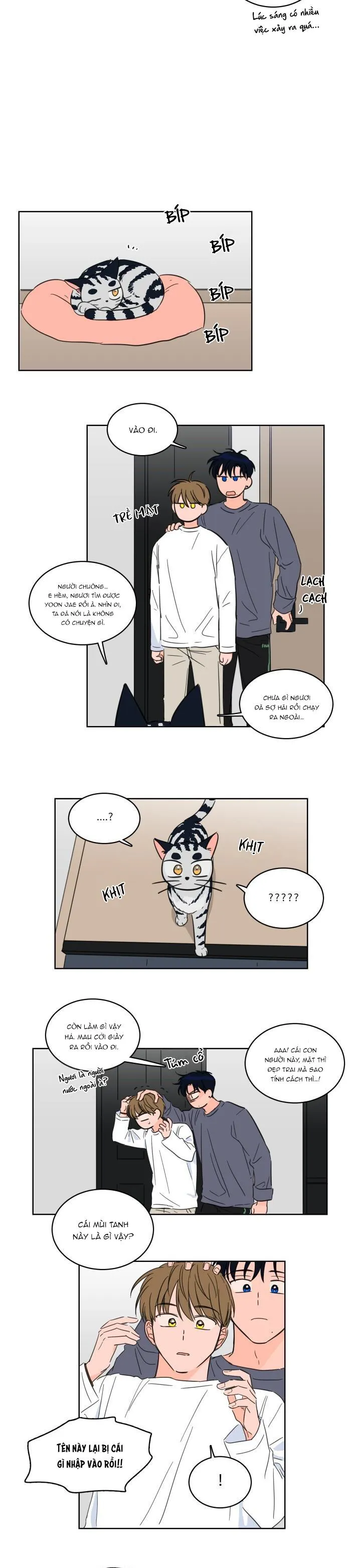 Mẹo Thuần Hóa Hổ Chapter 15 Trang 5