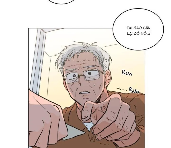 Mẹo Thuần Hóa Hổ Chapter 16 Trang 14