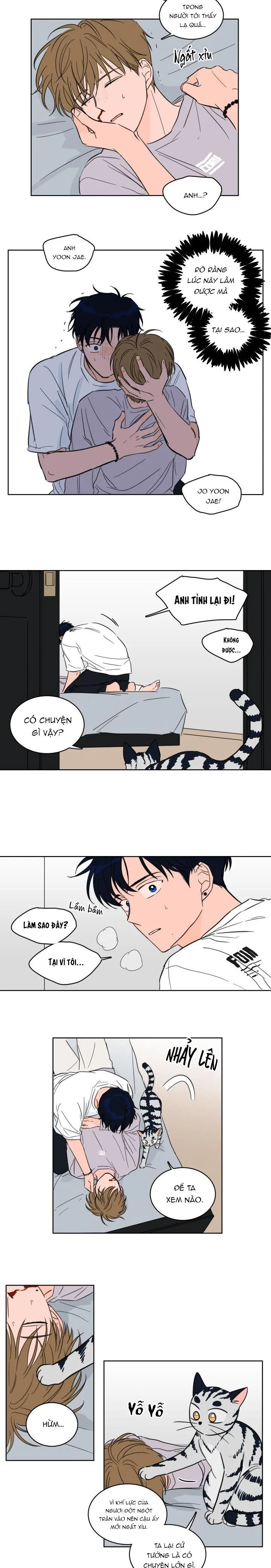 Mẹo Thuần Hóa Hổ Chapter 19 Trang 5