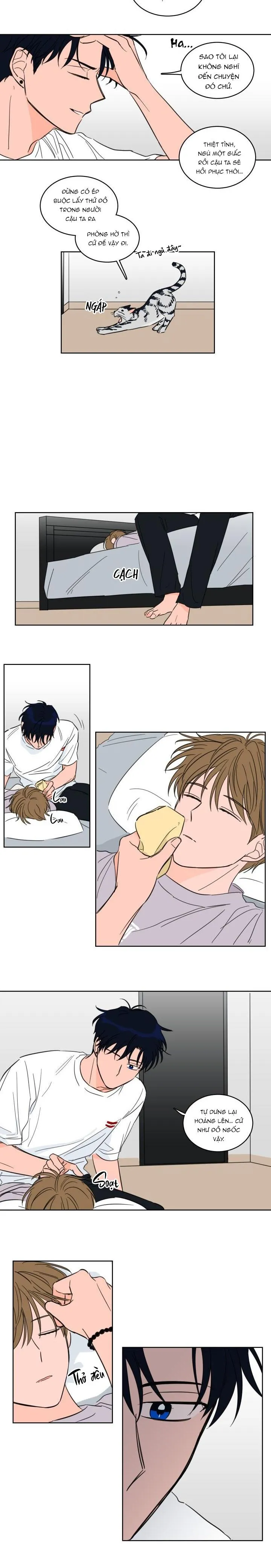 Mẹo Thuần Hóa Hổ Chapter 19 Trang 6