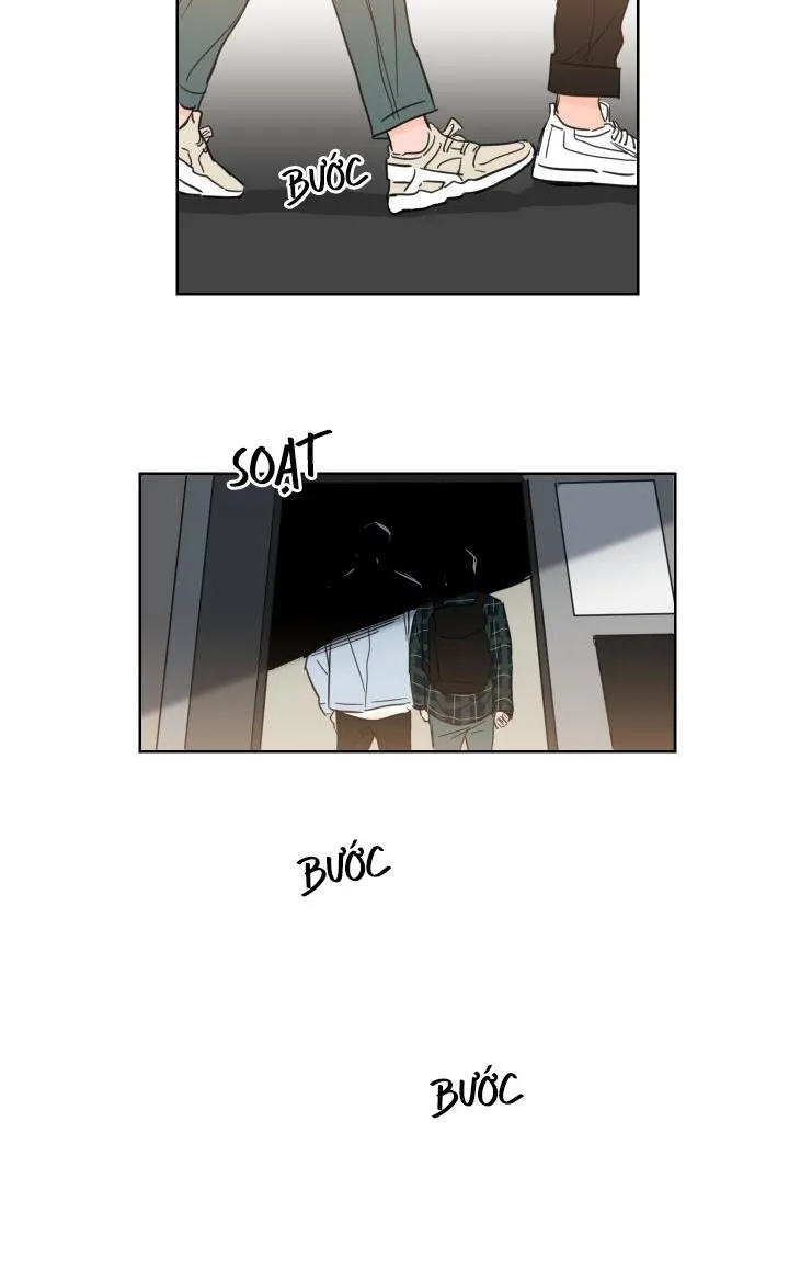 Mẹo Thuần Hóa Hổ Chapter 22 Trang 11