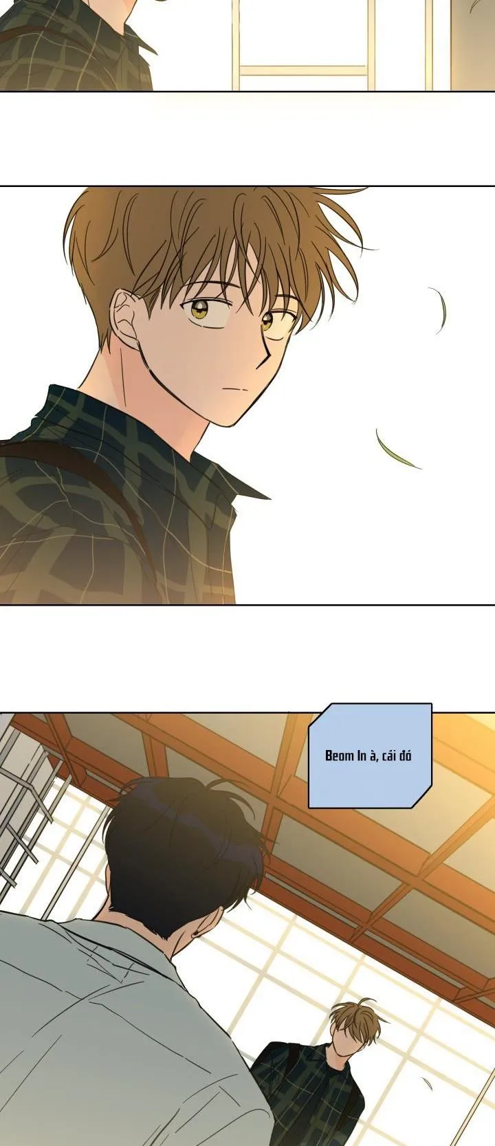 Mẹo Thuần Hóa Hổ Chapter 23 Trang 11