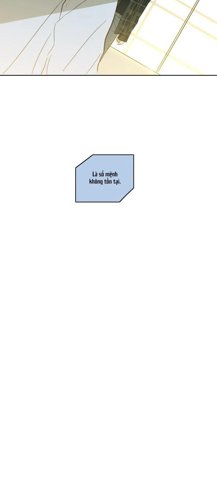 Mẹo Thuần Hóa Hổ Chapter 23 Trang 12