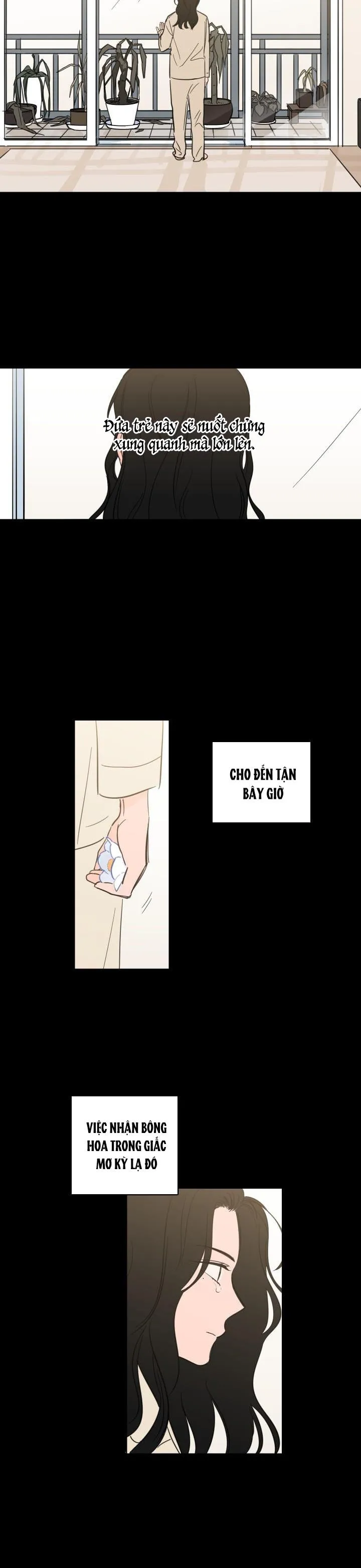 Mẹo Thuần Hóa Hổ Chapter 33 Trang 12