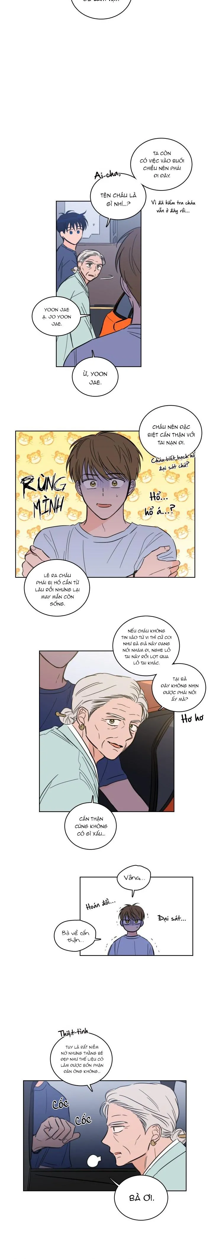 Mẹo Thuần Hóa Hổ Chapter 42 Trang 11