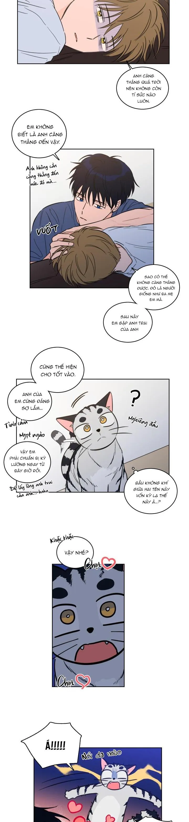 Mẹo Thuần Hóa Hổ Chapter 43 Trang 3