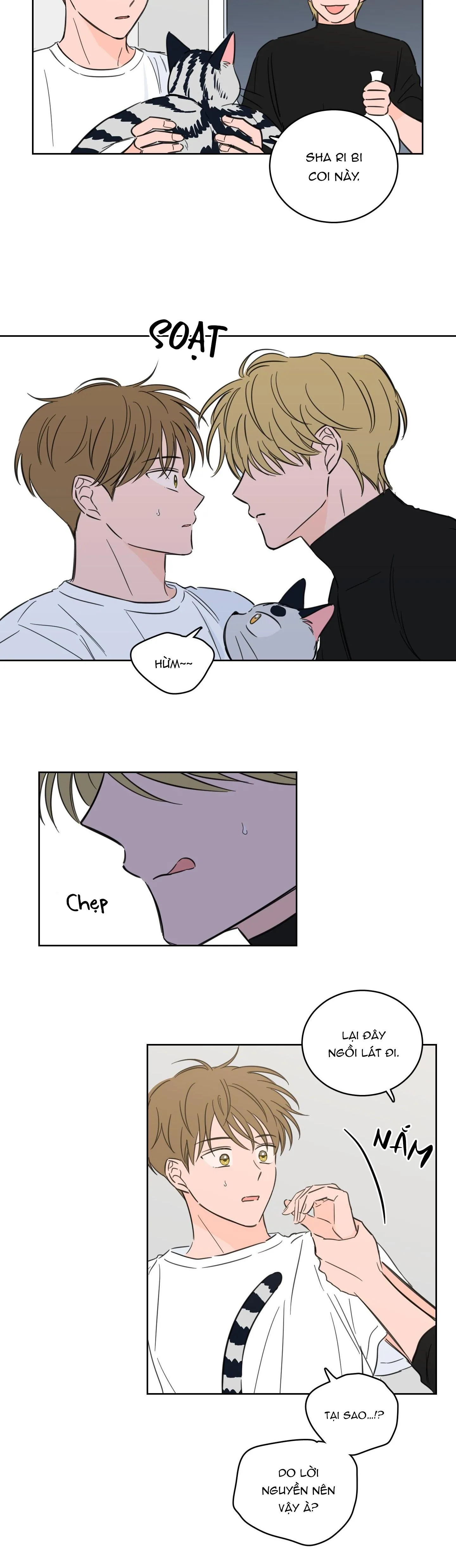 Mẹo Thuần Hóa Hổ Chapter 56 Trang 4