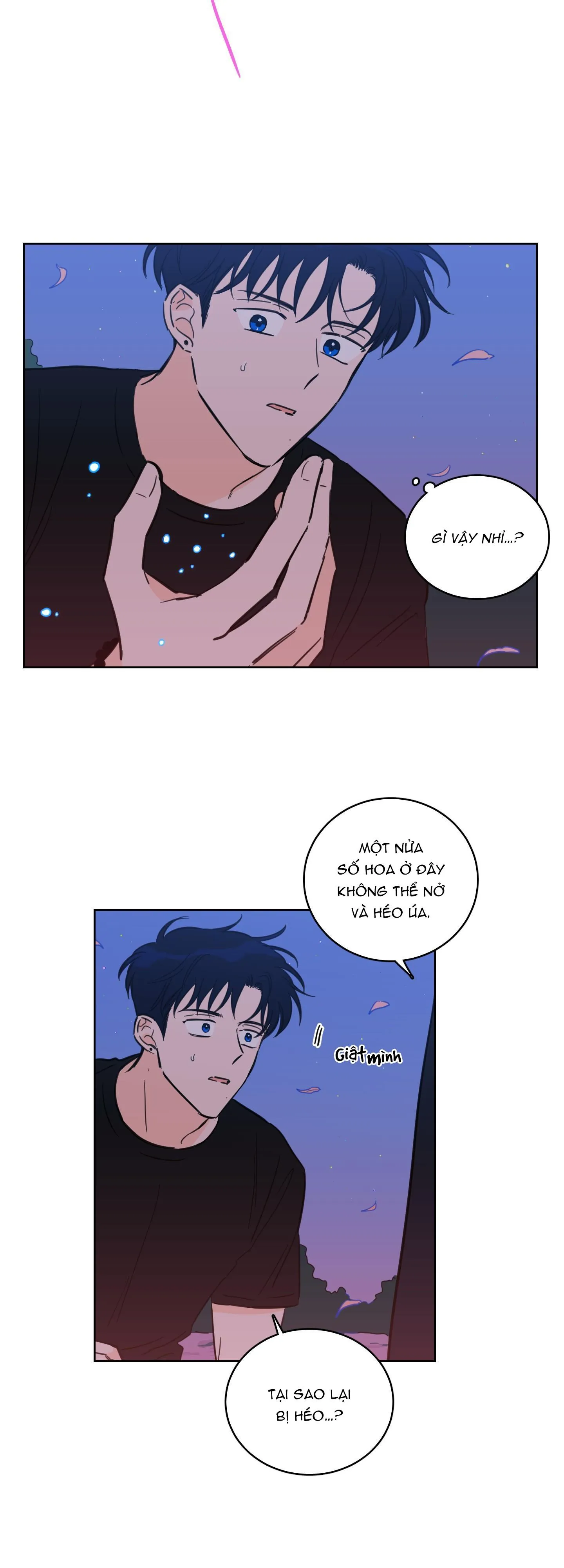 Mẹo Thuần Hóa Hổ Chapter 67 Trang 12