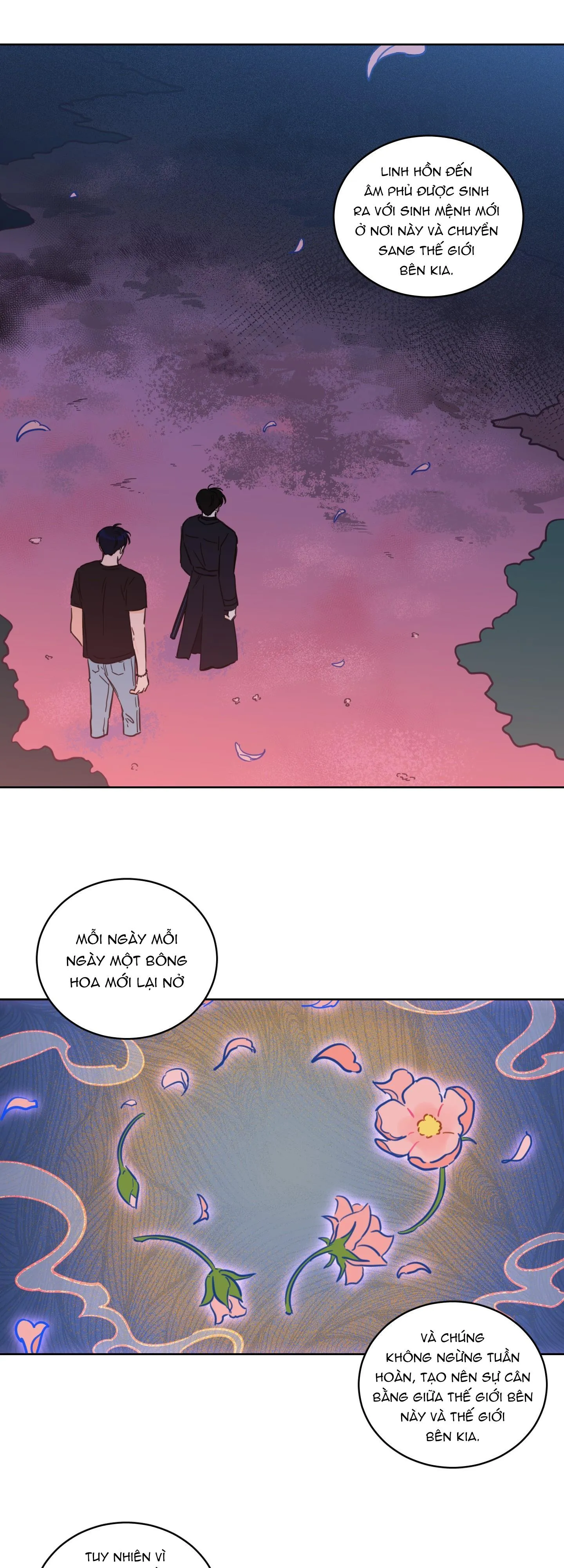 Mẹo Thuần Hóa Hổ Chapter 67 Trang 13