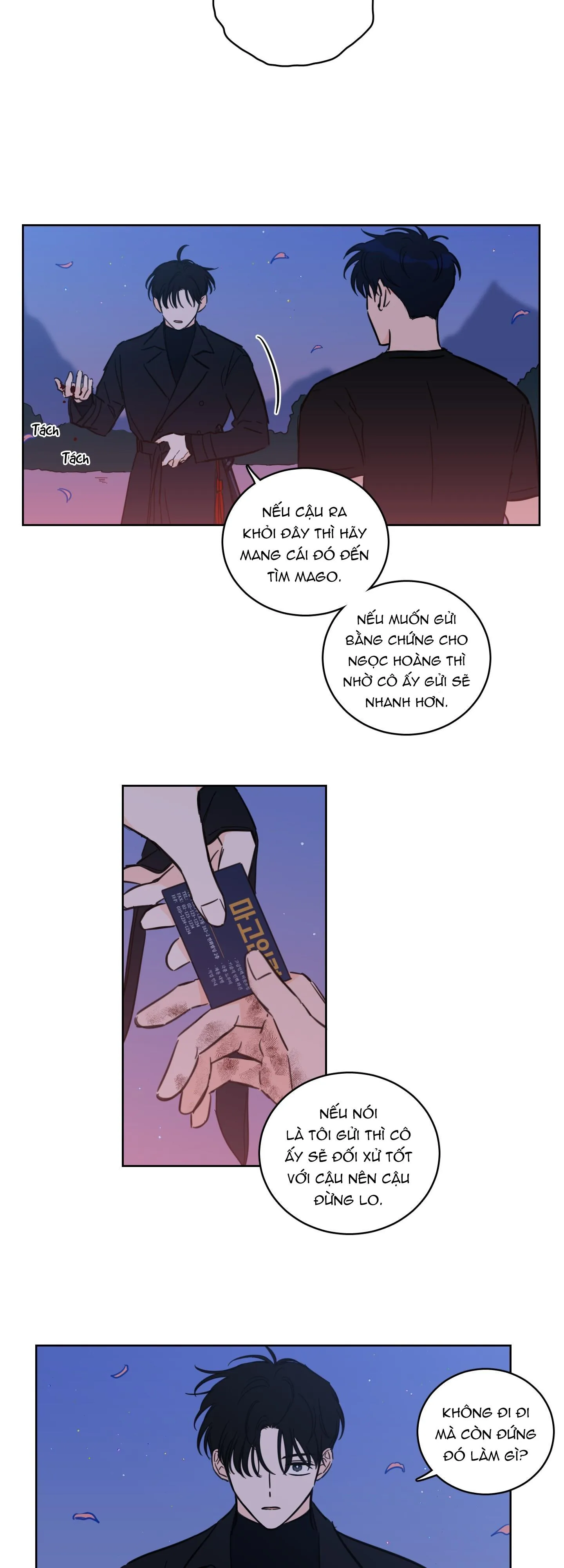 Mẹo Thuần Hóa Hổ Chapter 67 Trang 19