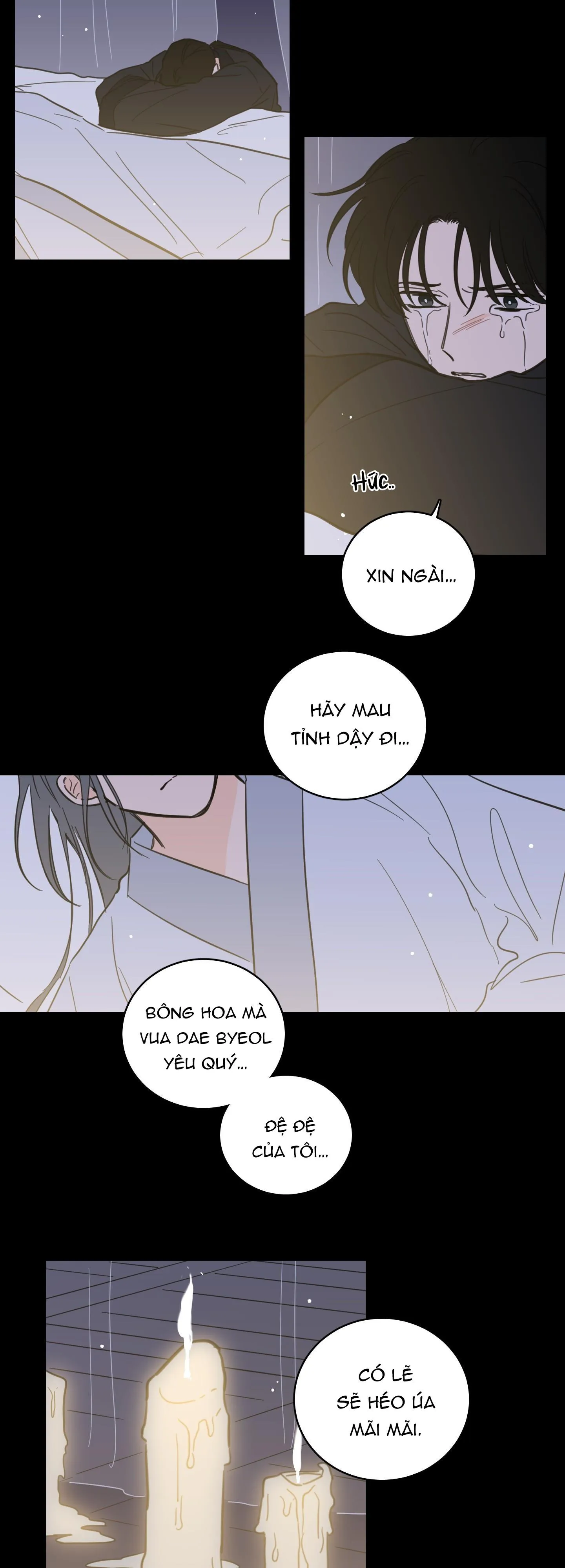 Mẹo Thuần Hóa Hổ Chapter 76 Trang 21