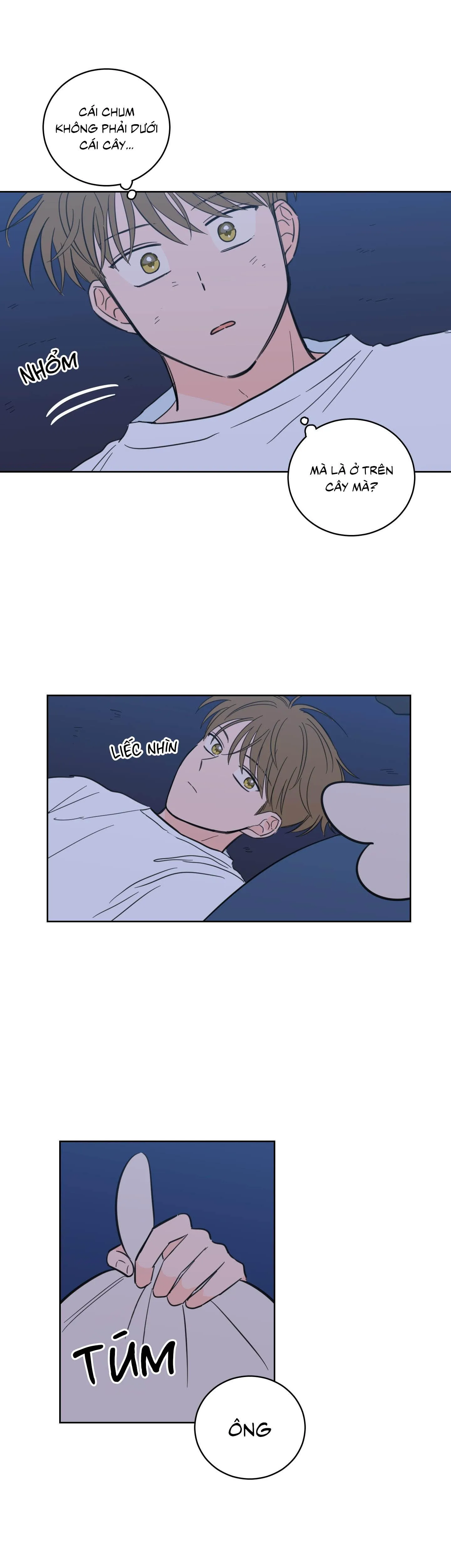 Mẹo Thuần Hóa Hổ Chapter 88 Trang 17