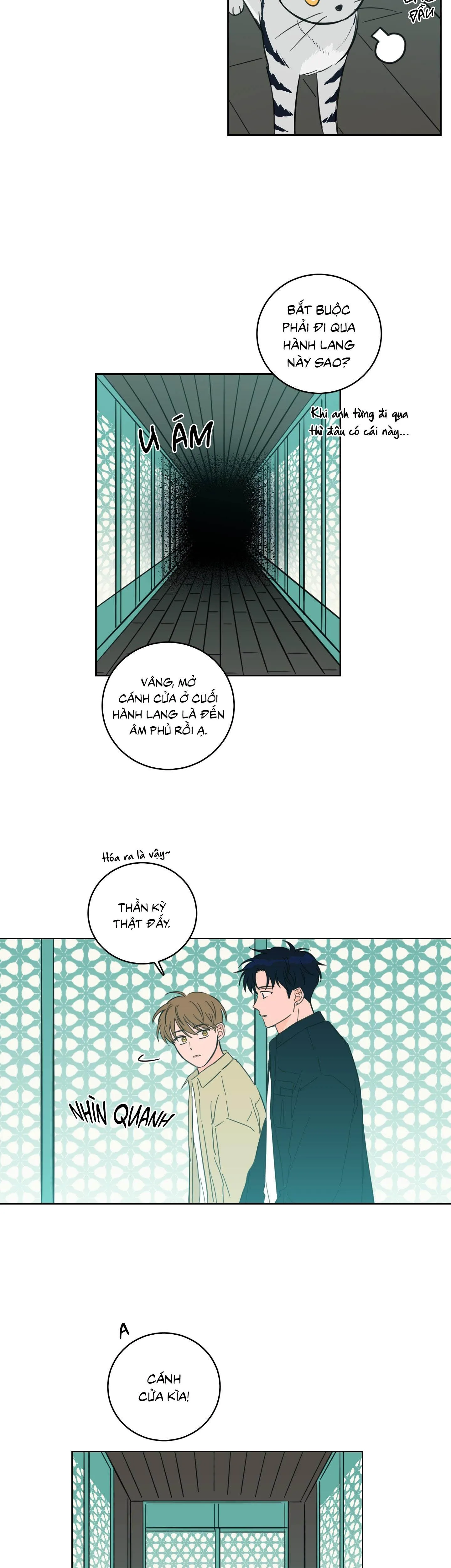 Mẹo Thuần Hóa Hổ Chapter 92 Trang 17