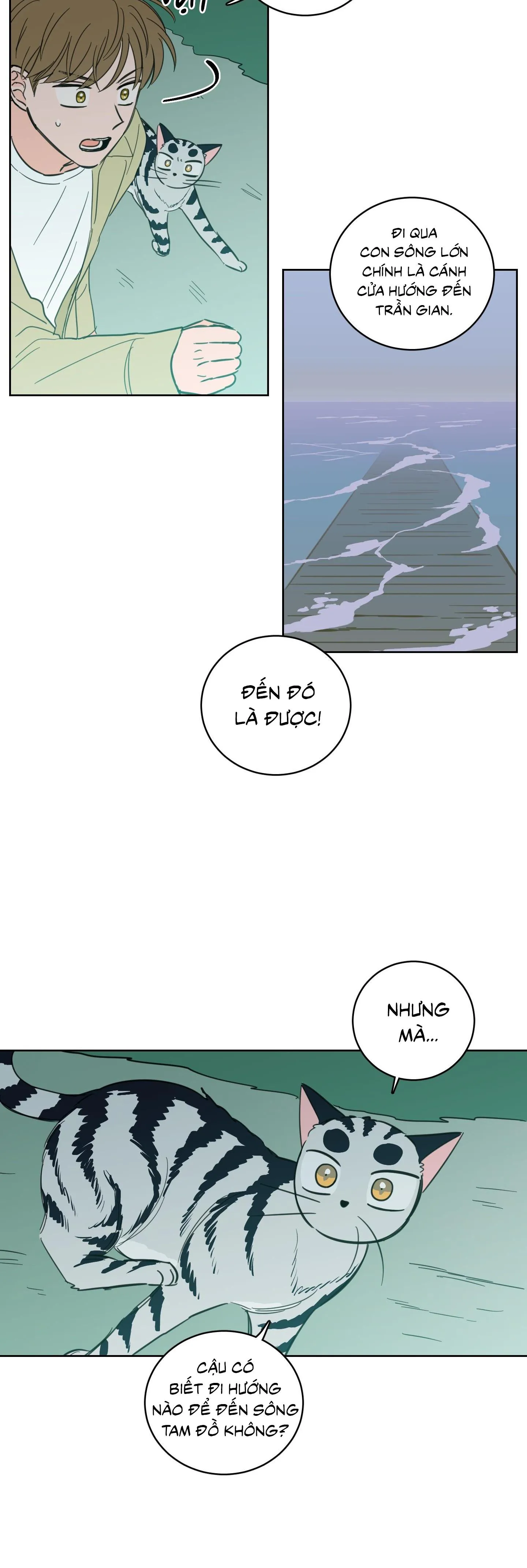 Mẹo Thuần Hóa Hổ Chapter 99 Trang 7