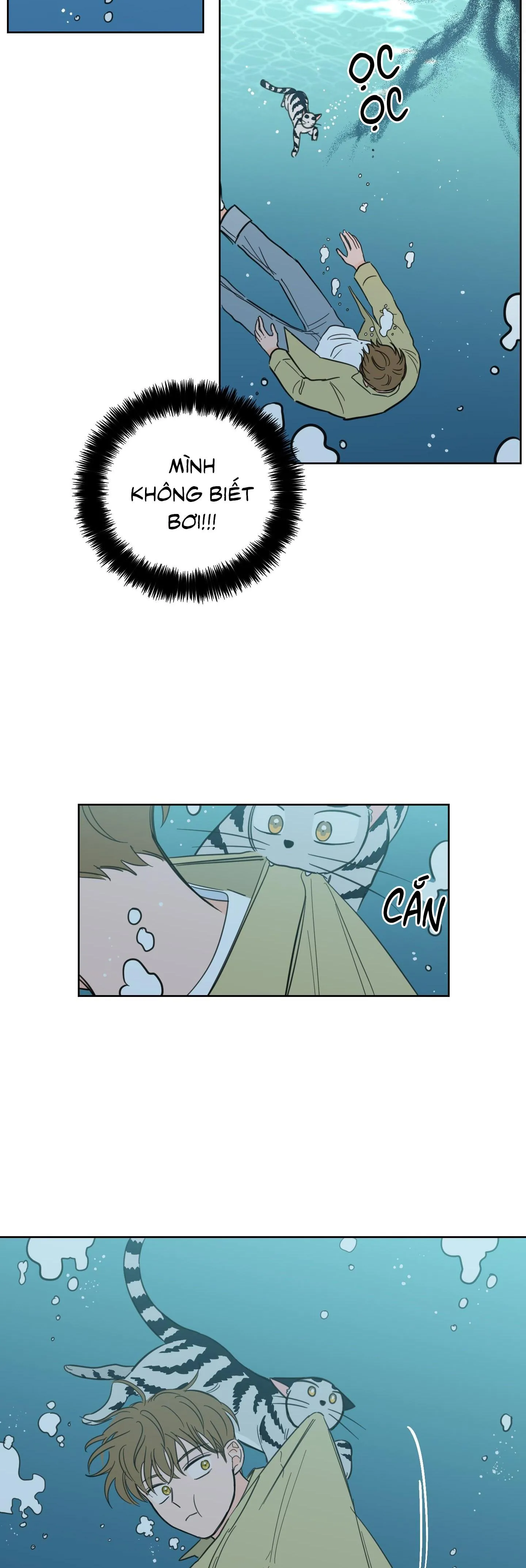 Mẹo Thuần Hóa Hổ Chapter 99 Trang 20