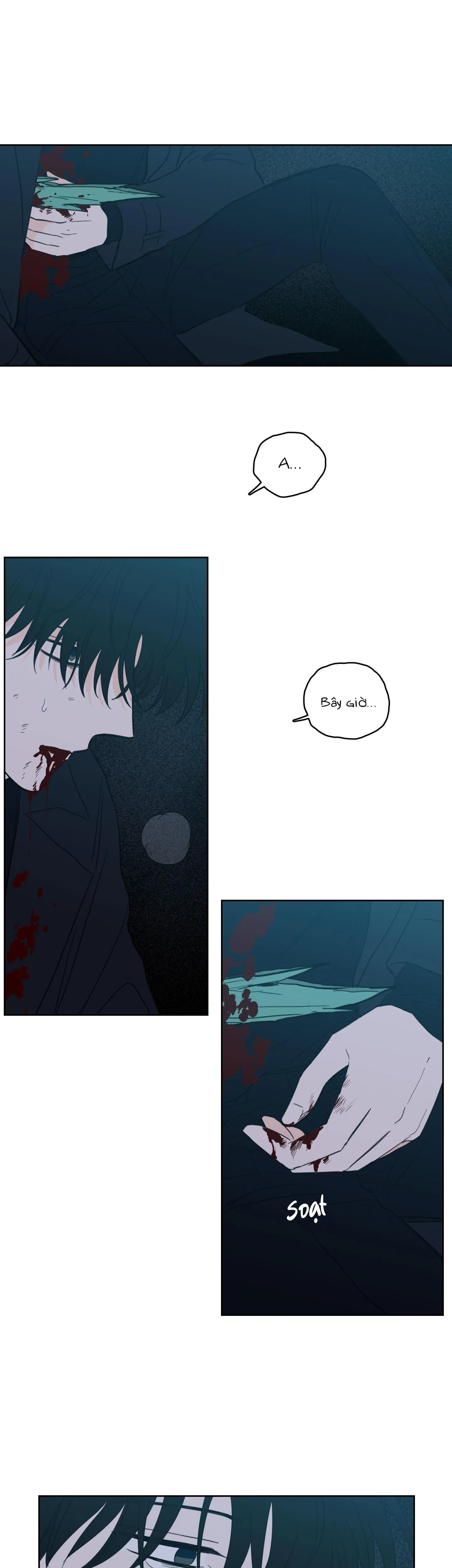 Mẹo Thuần Hóa Hổ Chapter 101 Trang 14