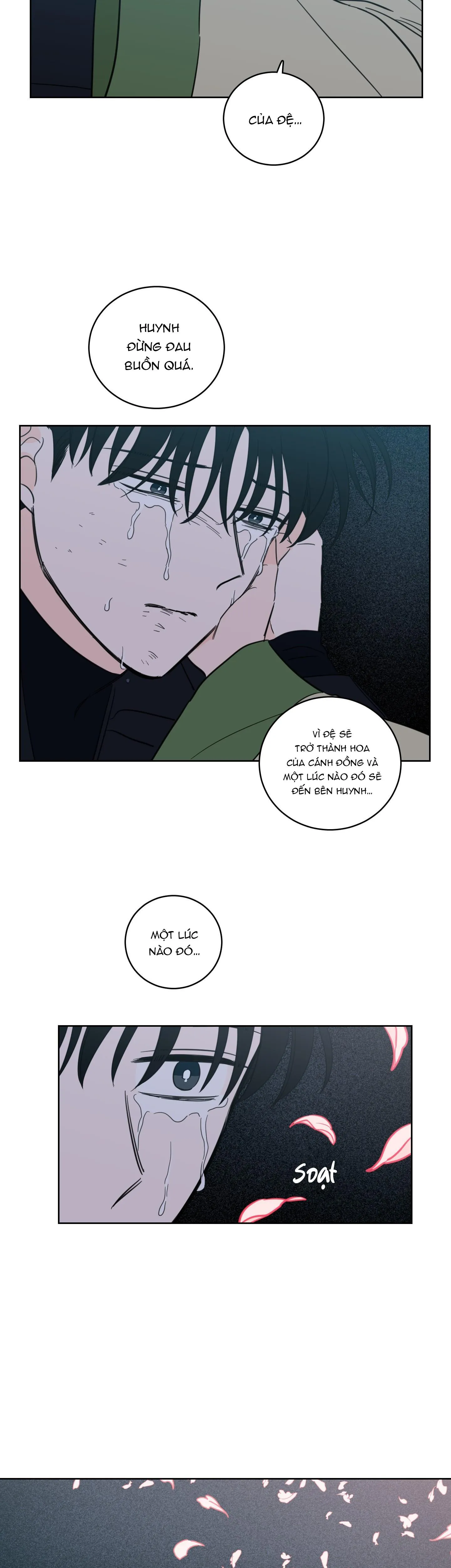 Mẹo Thuần Hóa Hổ Chapter 101 Trang 17