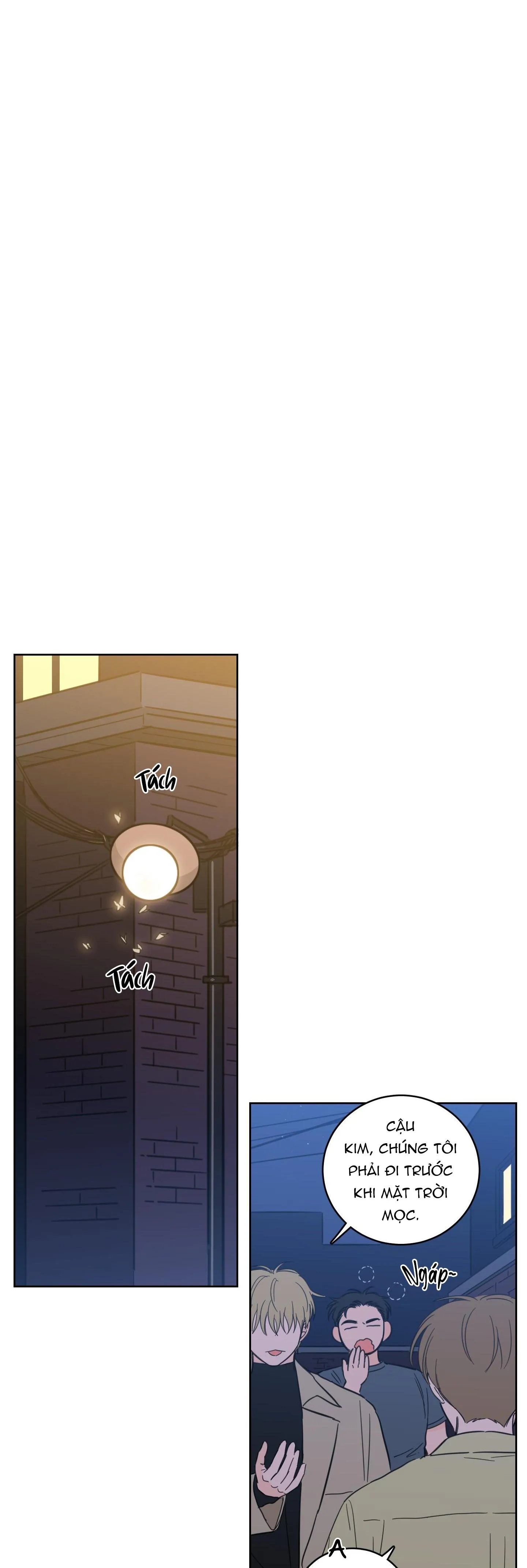 Mẹo Thuần Hóa Hổ Chapter 103 Trang 20