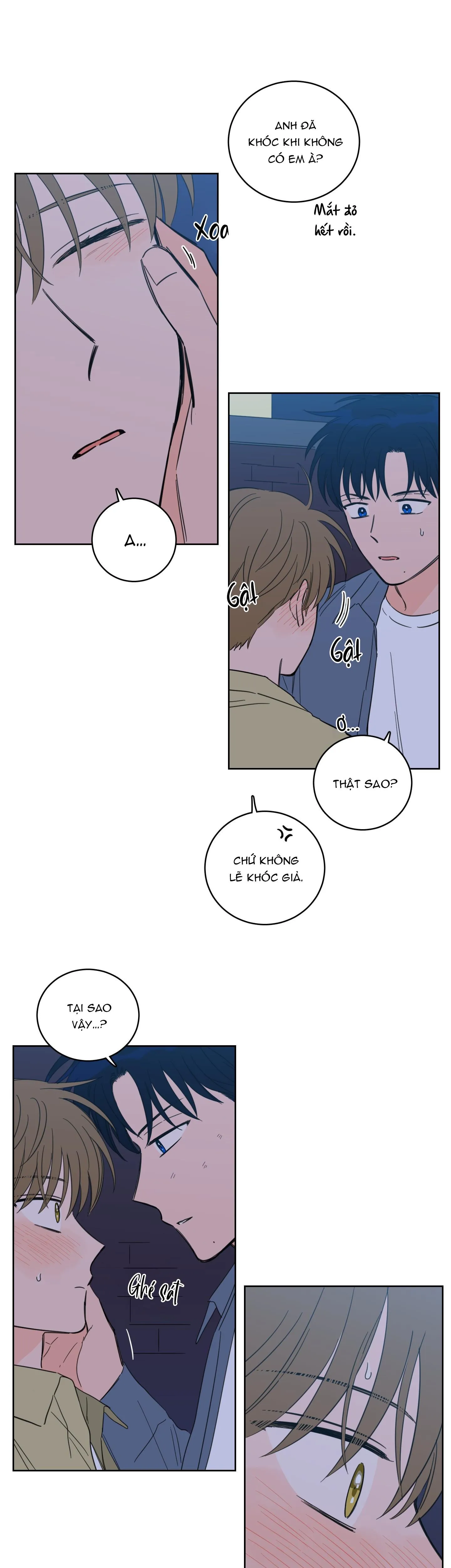 Mẹo Thuần Hóa Hổ Chapter 104 Trang 15