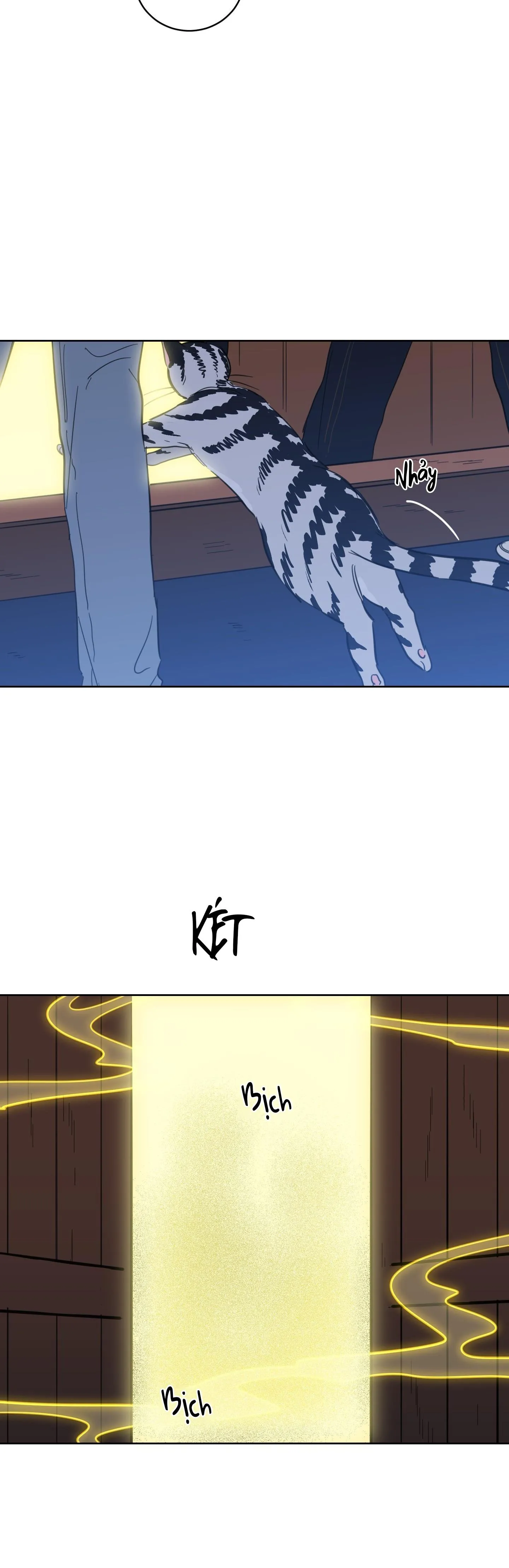 Mẹo Thuần Hóa Hổ Chapter 104 Trang 28