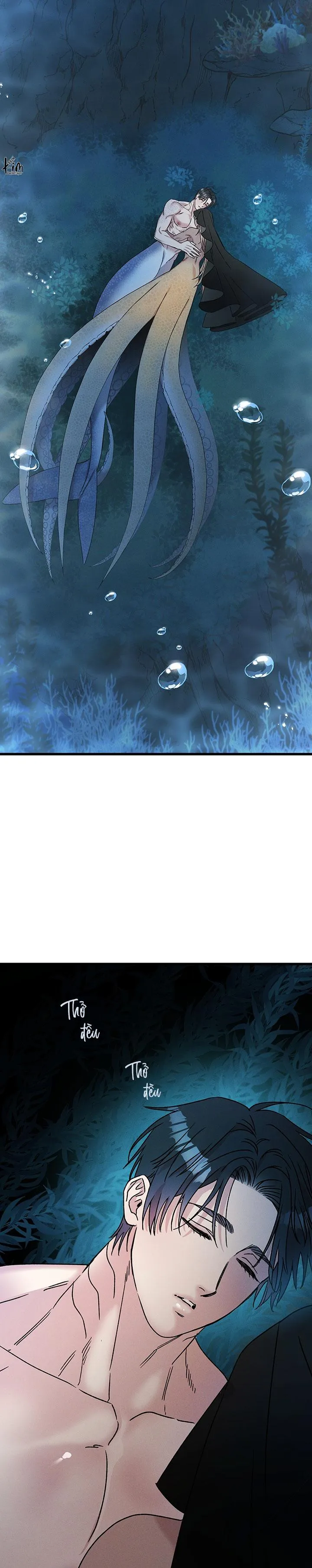 Mermaid's Cradle Chapter 2 Trang 10