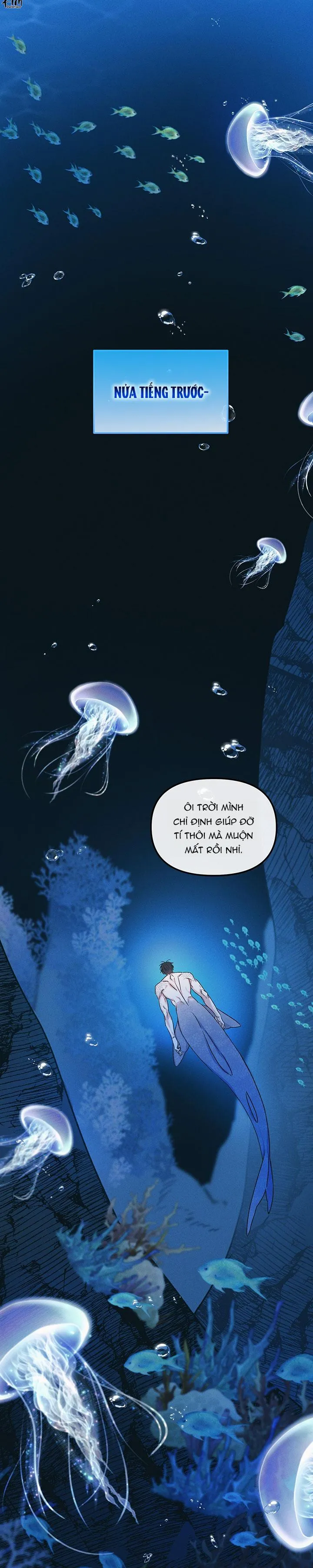 Mermaid's Cradle Chapter 2 Trang 26