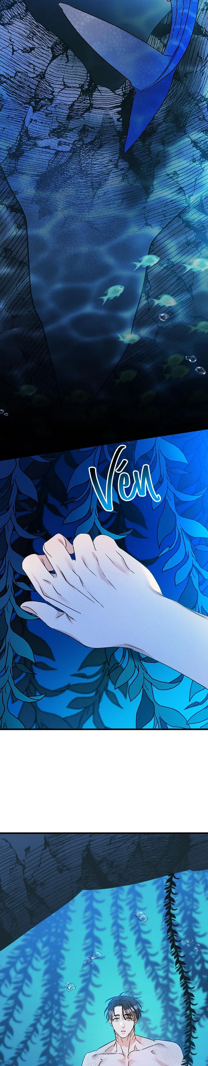 Mermaid's Cradle Chapter 2 Trang 28