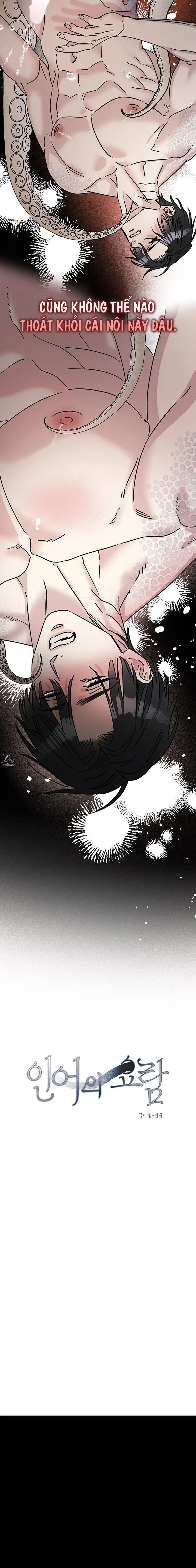 Mermaid's Cradle Chapter 4 Trang 29