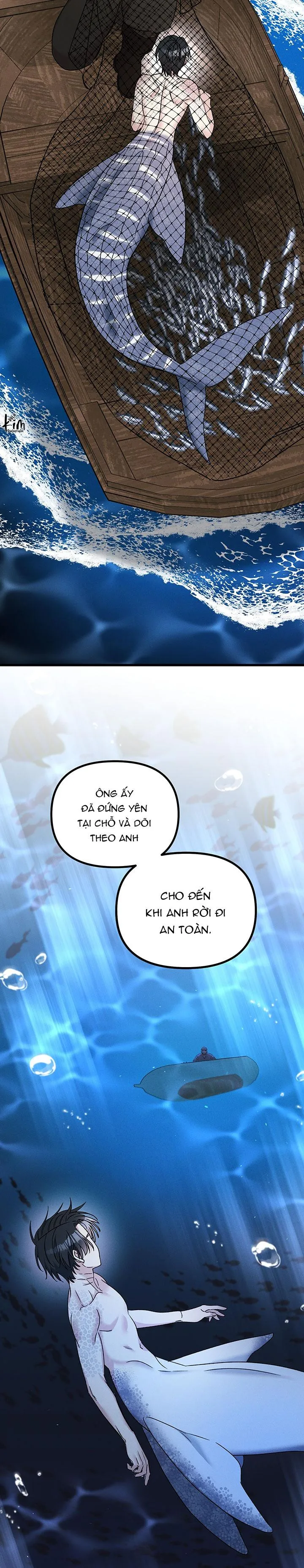 Mermaid's Cradle Chapter 6 Trang 4