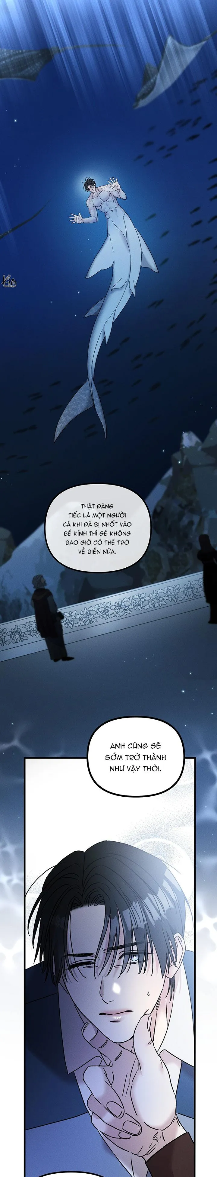 Mermaid's Cradle Chapter 10 Trang 16